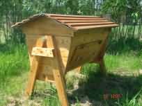 top bar hive