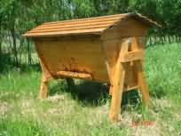 top bar hive